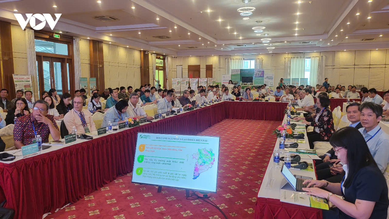 Đẩy mạnh tổ khuyến nông cộng đồng để canh tác lúa chất lượng cao, phát thải thấp